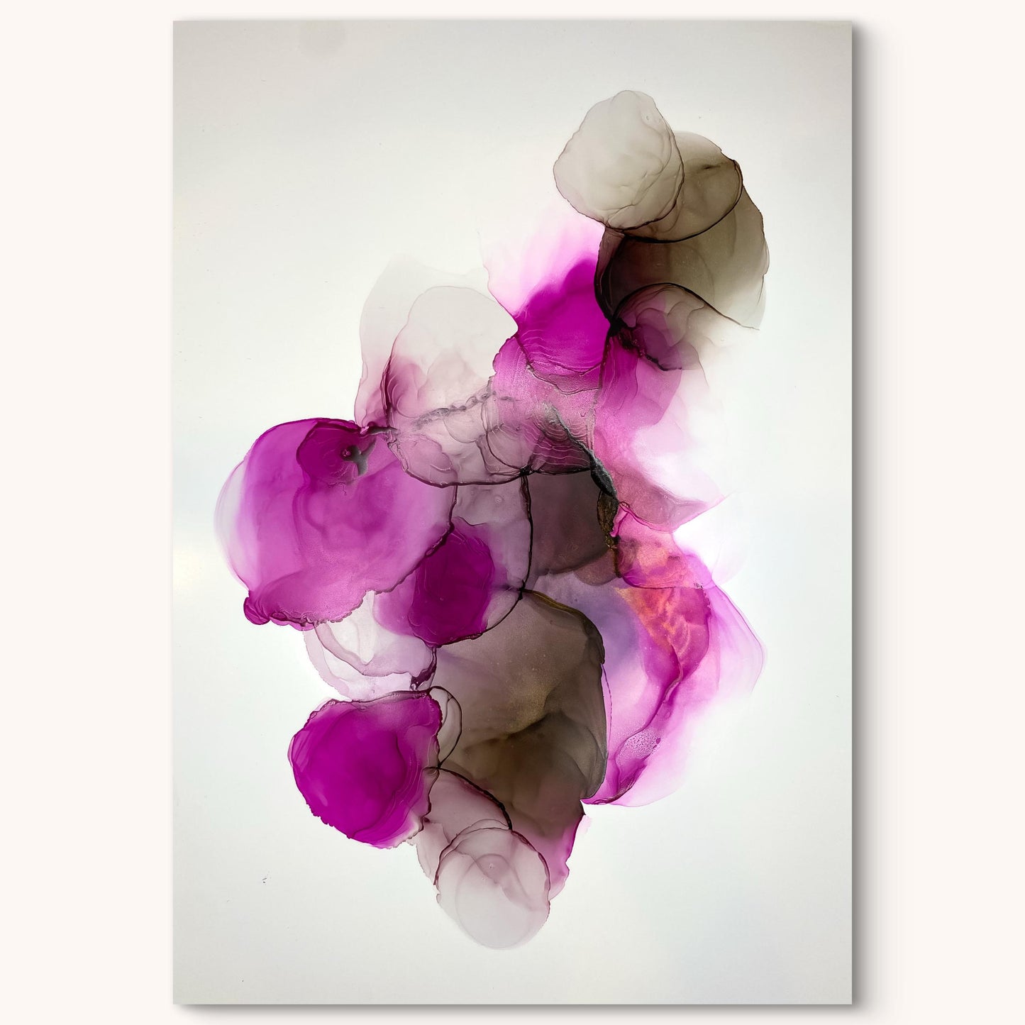 Belladonna